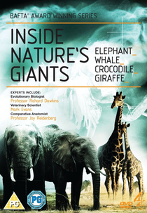 Por Dentro Dos Gigantes Da Natureza (Inside Nature's Giants)