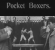 Pocket Boxers