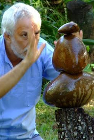 Poster 1 de Filme Cozinheiro do Tempo (2009)