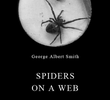 Spiders on a Web