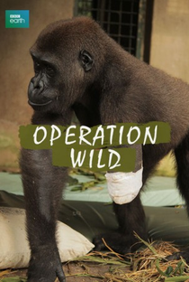 Operation Wild - Poster / Capa / Cartaz - Oficial 1