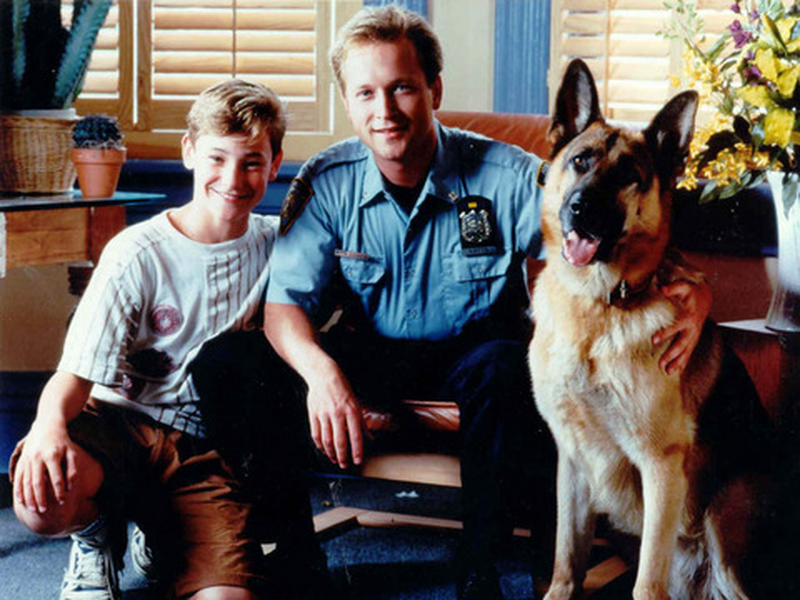 Foto 1 de A Volta de Rin Tin Tin