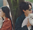 10회