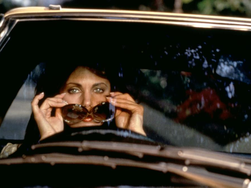 Foto 12 de Dublê de Corpo