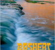 Bashert