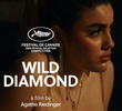 Diamante Bruto