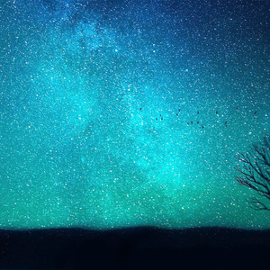 Foto de perfil de Rolf