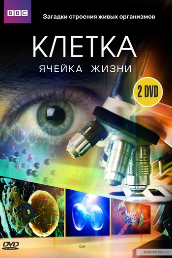 Poster de Filme A Célula (2009)