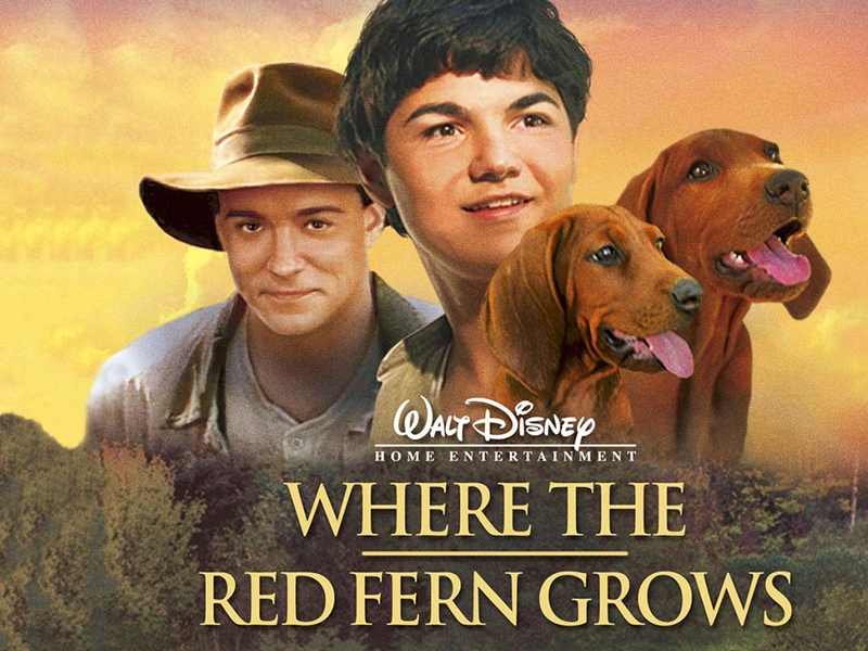 Foto 1 de Amigos de Caça