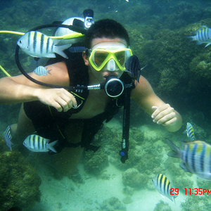 Foto de perfil de Wallace