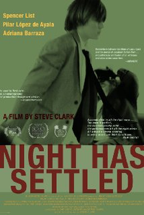 A Noite Acalmou - Poster / Capa / Cartaz - Oficial 1