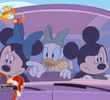 Daisy's Road Trip