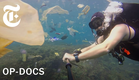 JOBS FOR ALL! - How Is Work Working for You? | Op-Docs