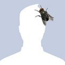 Foto de perfil de Matheus