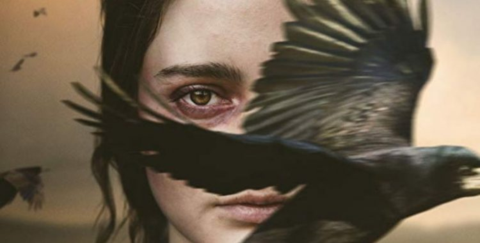 Sammy Oliveira - Foto 2