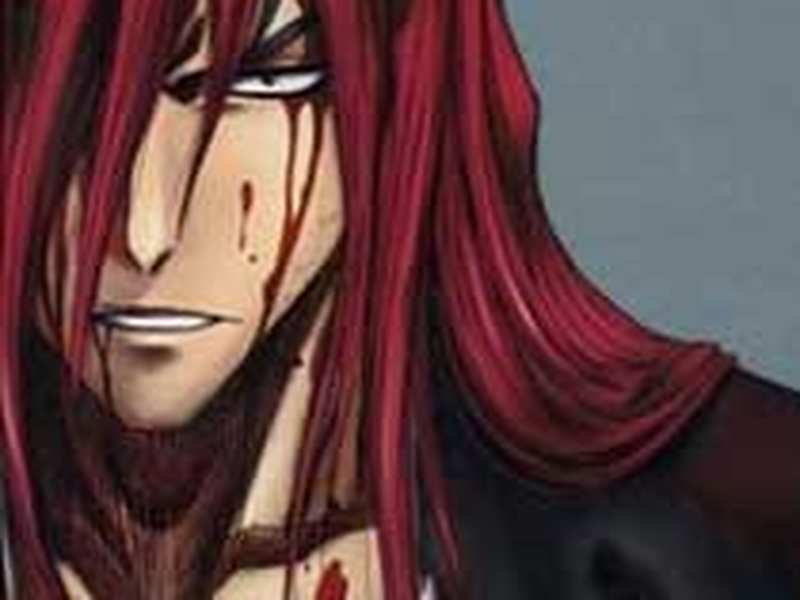 Foto 1 de Bleach (8ª Temporada)