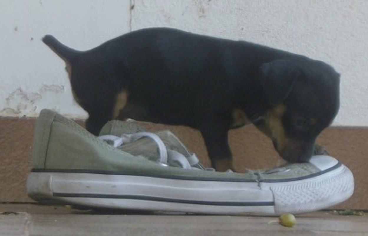 Katianna - Foto 1