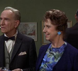 Aunt Bee's Crowning Glory