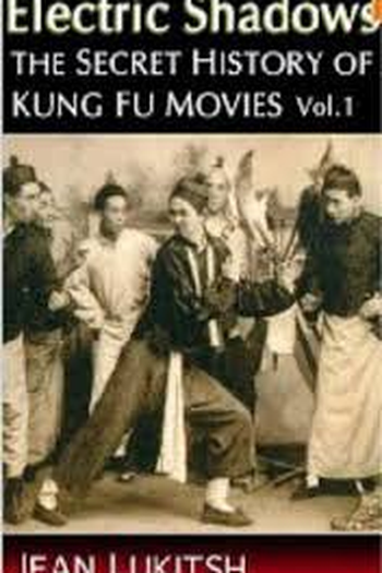 Poster de Filme Electric Shadows (2004)