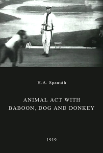 Animal Act with Baboon, Dog and Donkey - Poster / Capa / Cartaz - Oficial 1
