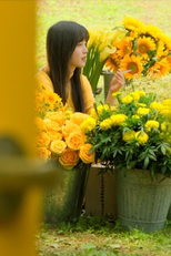 Dark Yellow (다크 옐로우)