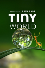 Pequenas Maravilhas (1ª Temporada) (Tiny World (Season 1))