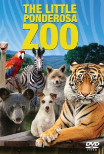 Aventura no Zoo - Poster / Capa / Cartaz - Oficial 3