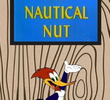 Biruta Náutico