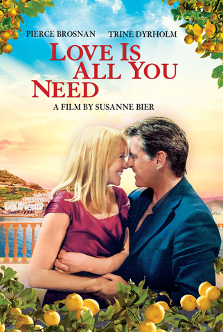 Poster 6 de Filme Amor é Tudo o que Você Precisa (2012)
