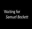Esperando Beckett
