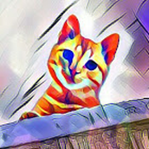 Foto de perfil de Kira