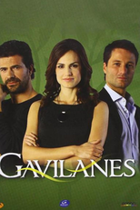 Gavilanes (Gavilanes)