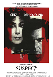 Sob Suspeita (Suspect)