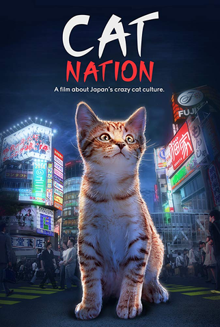 Poster 1 de Filme Nação dos Gatos (2017)