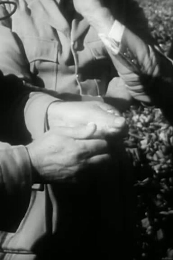  de Curta They Planted a Stone (1953)