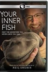 Quando eramos peixes (Your Inner Fish)