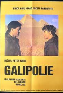 Gallipoli - Poster / Capa / Cartaz - Oficial 7