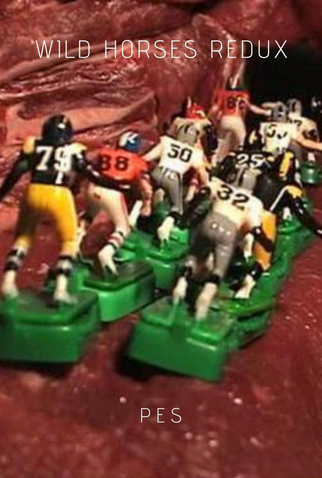 Poster 1 de Curta Wild Horses Redux (2005)