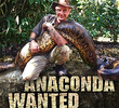 Wanted Anaconda