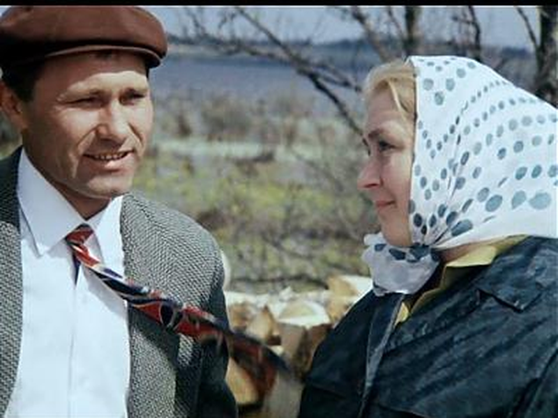 Foto 7 de The Red Snowball Tree 