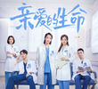 亲爱的生命
