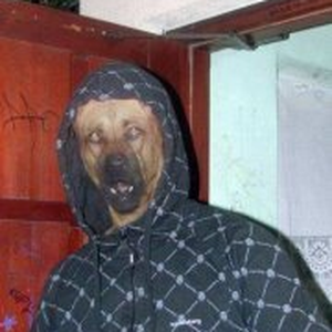 Foto de perfil de Bruno