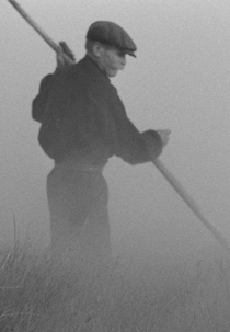 The Old Man and the Land (Senis ir žemė)