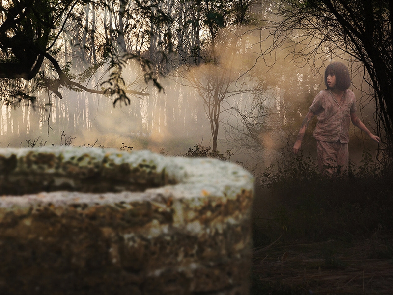 Foto 1 de A Maldição do Poço