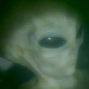 Foto de perfil de flavia