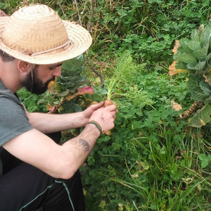 Foto de perfil de Rodrigo