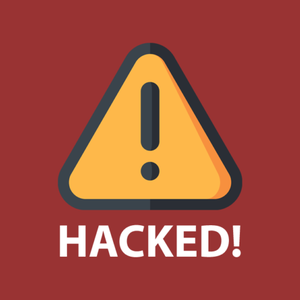 Foto de perfil de Fernanda