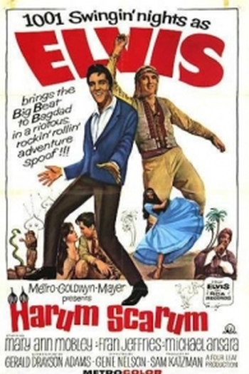 Poster de Filme Feriado no Harém (1965)