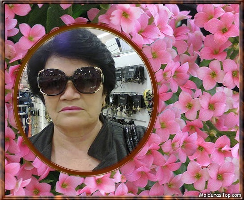Terezinha - Foto 3