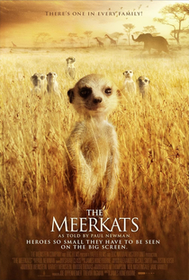 The BBC: Natural World - Meerkats Part of The Team - Poster / Capa / Cartaz - Oficial 1